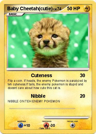 Pokemon Baby Cheetah(cutie)