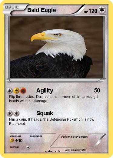 Pokemon Bald Eagle