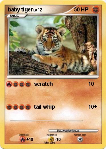 Pokemon baby tiger