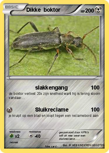 Pokemon Dikke  boktor
