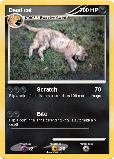 Pokemon Dead cat