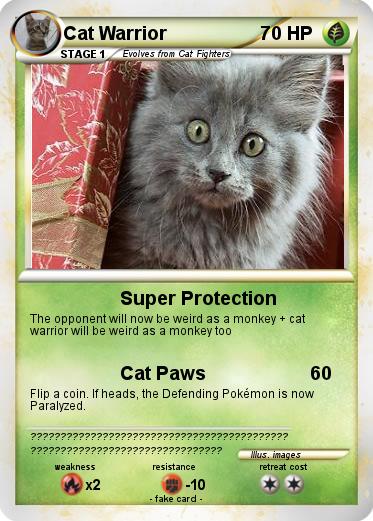 Pokemon Cat Warrior