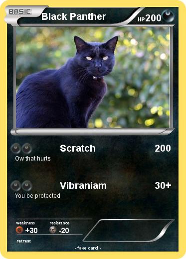 Pokemon Black Panther