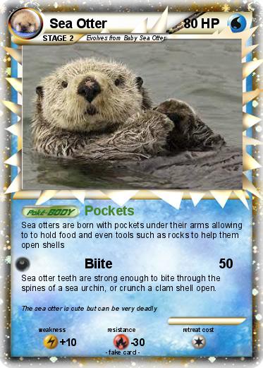 Pokemon Sea Otter