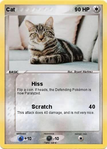Pokemon Cat
