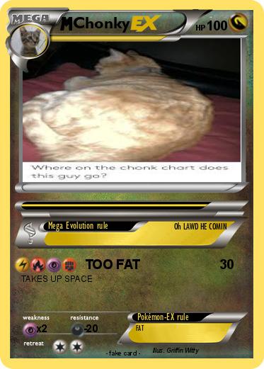 Pokemon Chonky