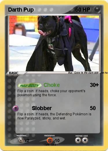 Pokemon Darth Pup