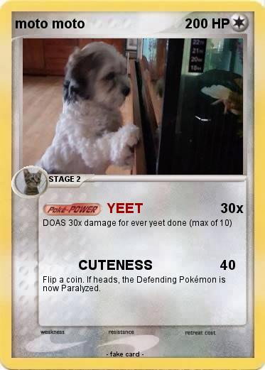 Pokemon moto moto