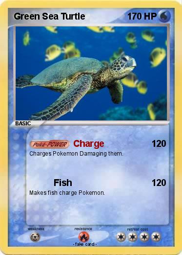 Pokemon Green Sea Turtle