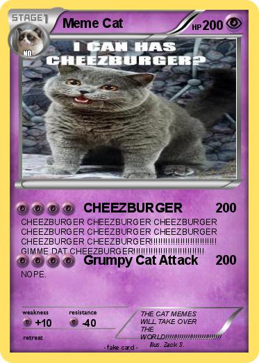 Pokemon Meme Cat
