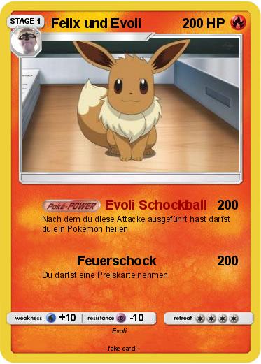 Pokemon Felix und Evoli