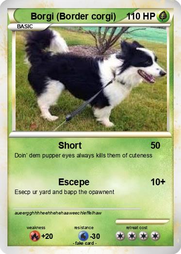 Pokemon Borgi (Border corgi)
