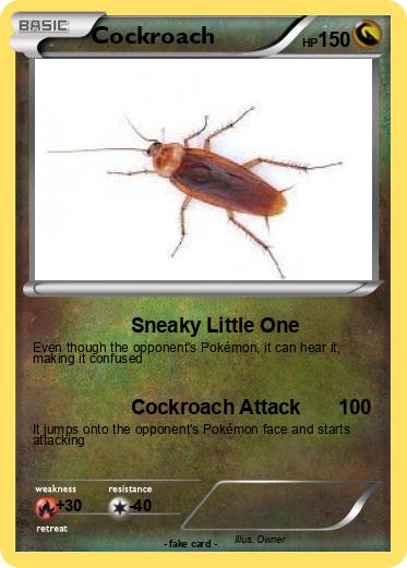 Pokemon Cockroach