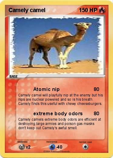 Pokemon Camely camel