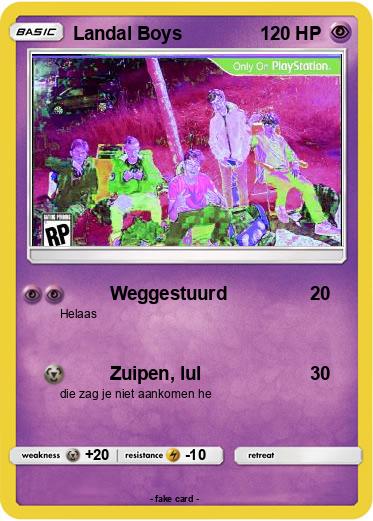 Pokemon Landal Boys