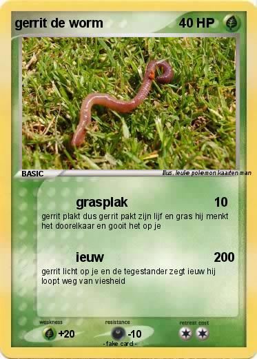 Pokemon gerrit de worm