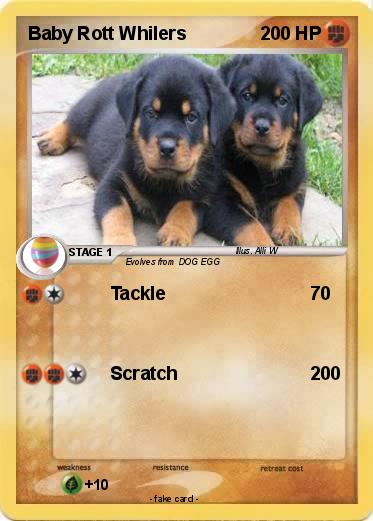 Pokemon Baby Rott Whilers