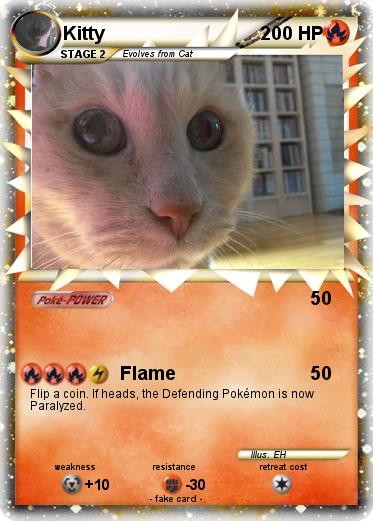 Pokemon Kitty