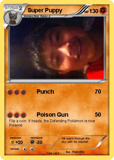 Pokemon Super Puppy