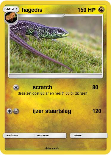 Pokemon hagedis