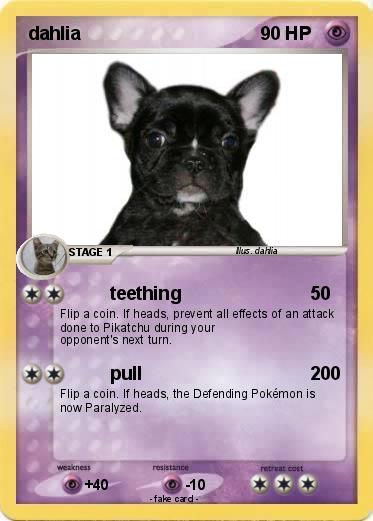 Pokemon dahlia