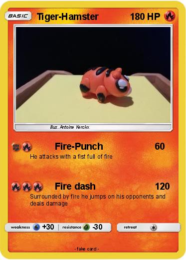 Pokemon Tiger-Hamster