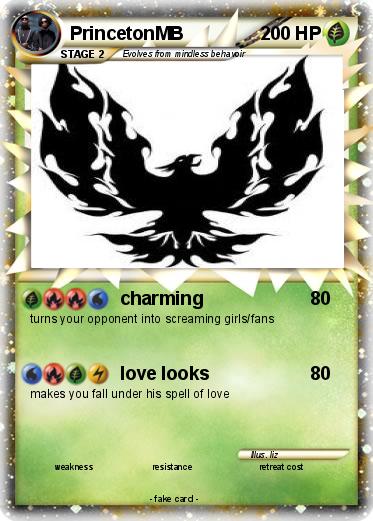 Pokemon PrincetonMB