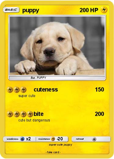 Pokemon puppy