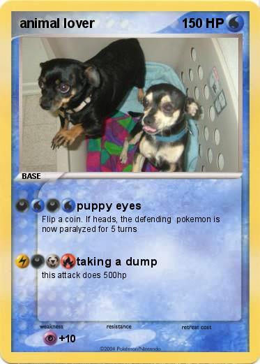Pokemon animal lover
