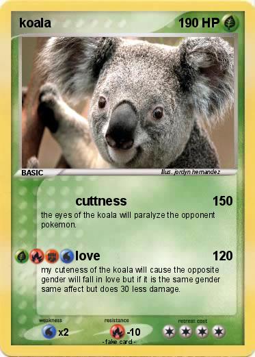 Pokemon koala