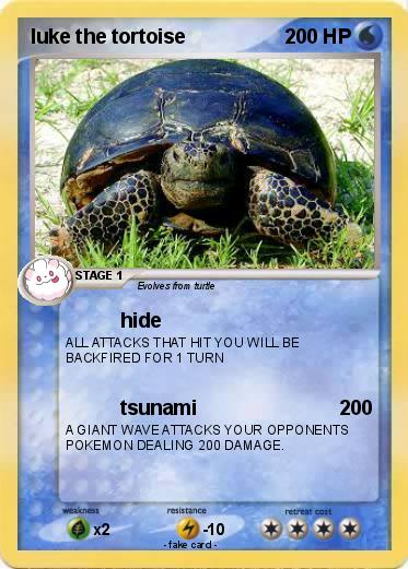 Pokemon luke the tortoise