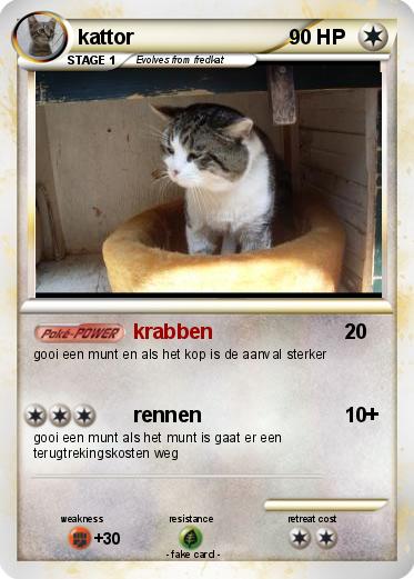 Pokemon kattor