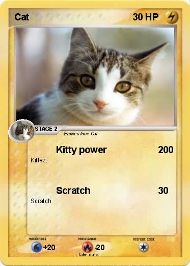 Pokemon Cat