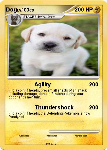 Pokemon Dog