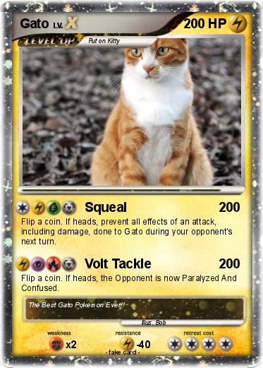 Pokemon Gato