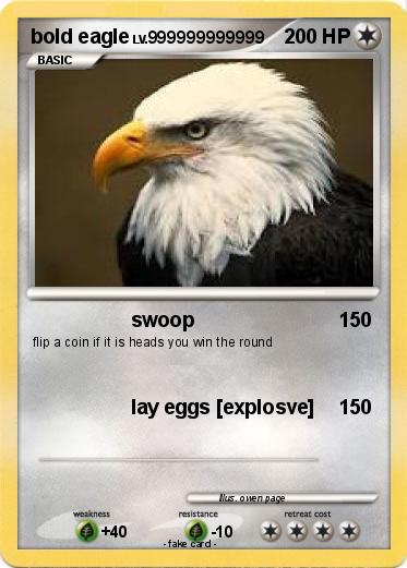 Pokemon bold eagle