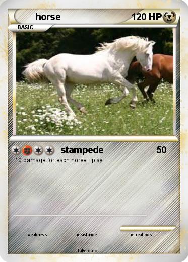 Pokemon horse