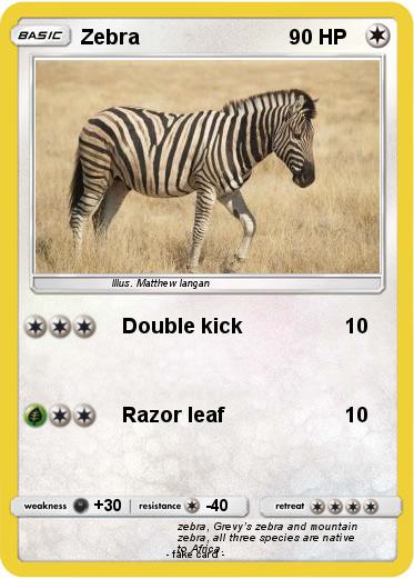 Pokemon Zebra