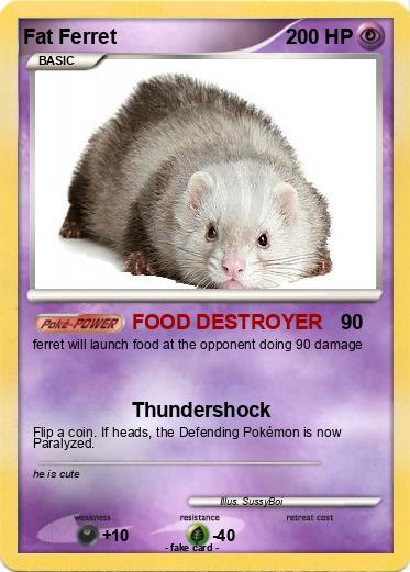 Pokemon Fat Ferret