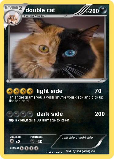 Pokemon double cat