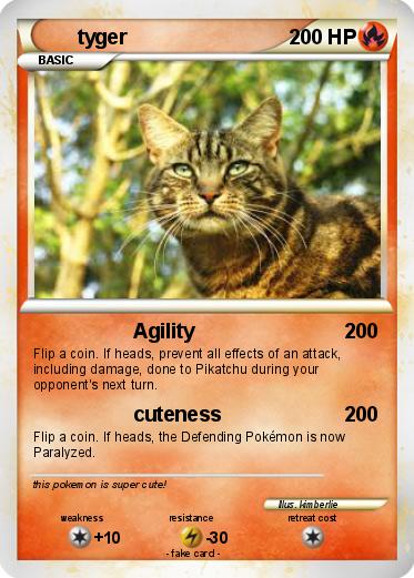 Pokemon tyger