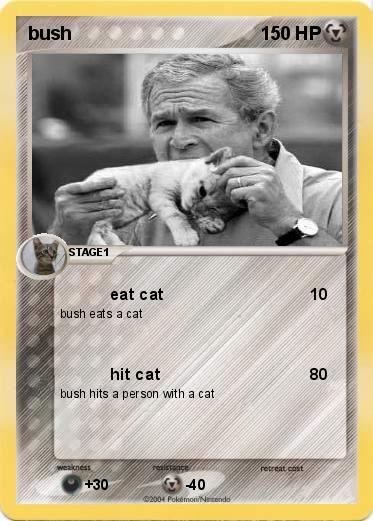 Pokemon bush