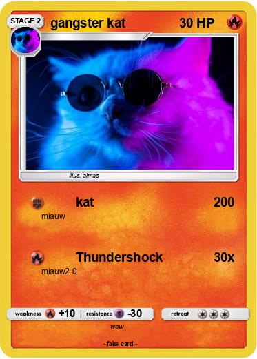 Pokemon gangster kat
