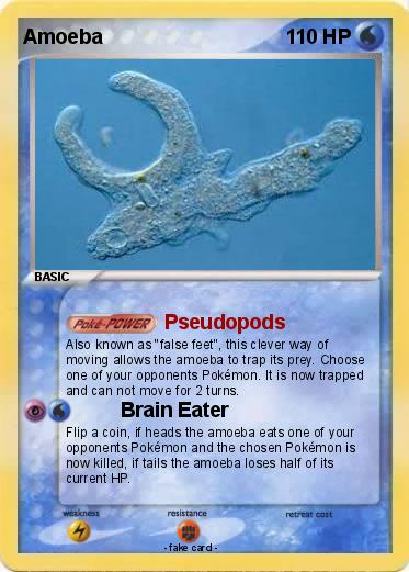 Pokemon Amoeba