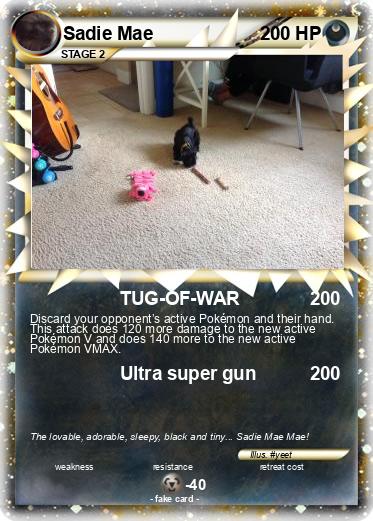 Pokemon Sadie Mae
