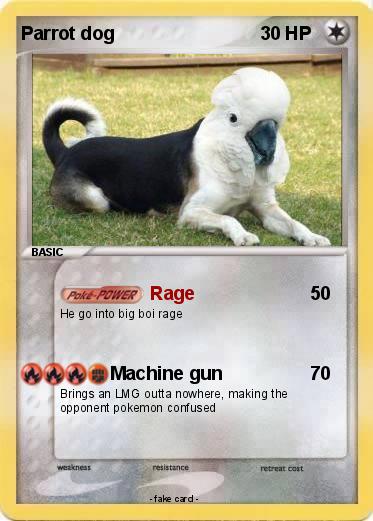 Pokemon Parrot dog