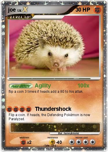 Pokemon joe