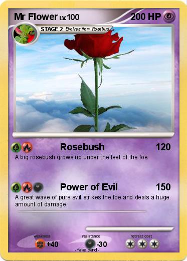 Pokemon Mr Flower
