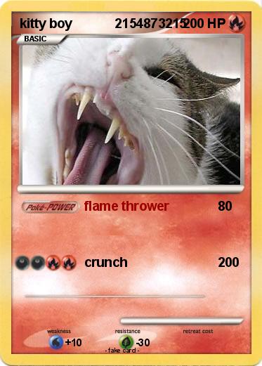 Pokemon kitty boy            2154873215