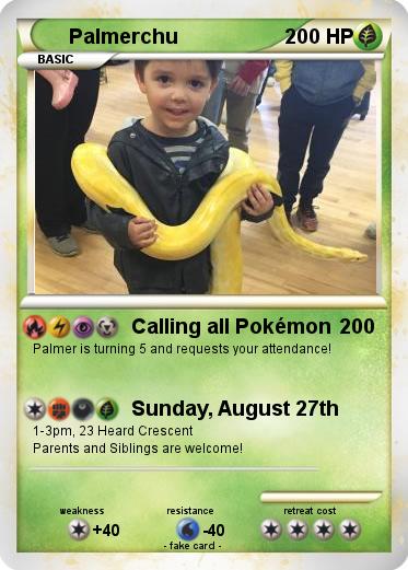 Pokemon Palmerchu
